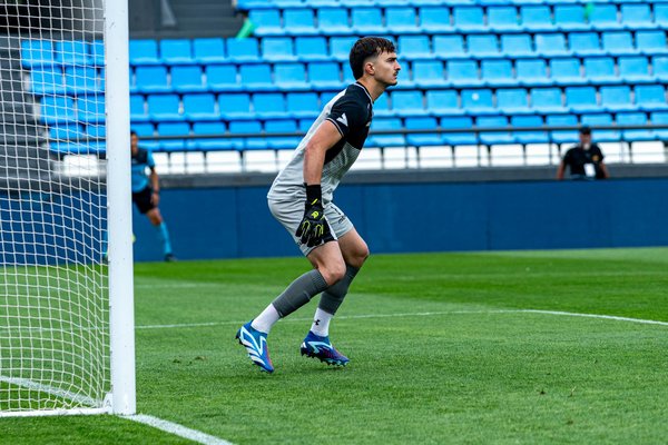 Le Jiu-jitsu Brésilien dans les arts martiaux mixtes